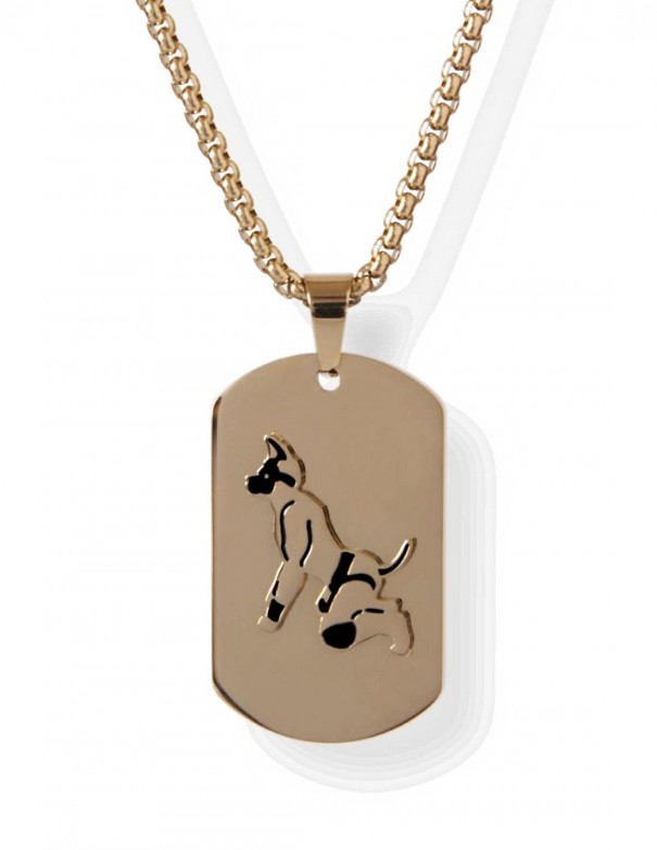 Master of the House Dog Tag Puppy Gold Plating Master of the House Dog Tag Puppy Gold Plating